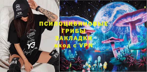прущие грибы Кодинск