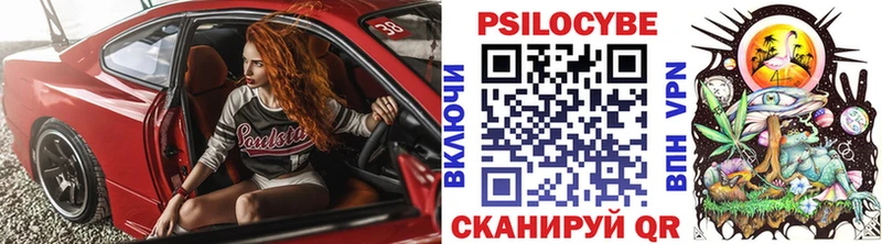 Галлюциногенные грибы Psilocybe  Инза 